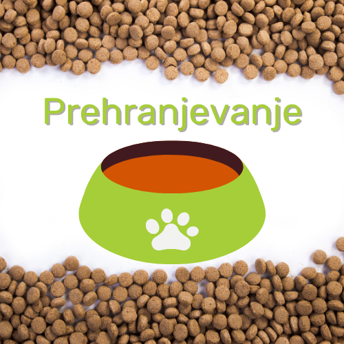 Kakšna prehrana za mladičke evrazijcev